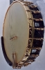 The Italian Renaissance Banjo_1