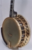 The Italian Renaissance Banjo